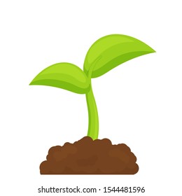 Tree planting concept Seedling icon growing in complete soil.