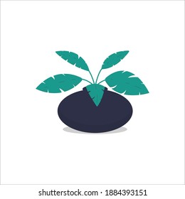 Tree planting in pots round