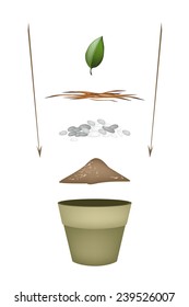Tree Planting Steps, Illustration of Ceramic Flower Pots with Potting Soil, Fertilizer, Seeds and Young Plant for Growing Plants, Herbs and Vegetables. 