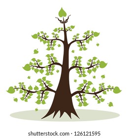 Tree plants with green leafs vector design.