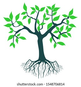 tree plants and green leaves against a white background, vector