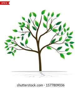 Tree plants and green leaves against a white background, vector