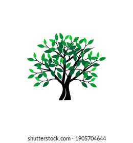 Tree plants and green leaves against a white background, vector