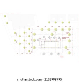 tree point scheme in garden