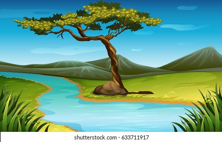 Tree and pond scene in nature