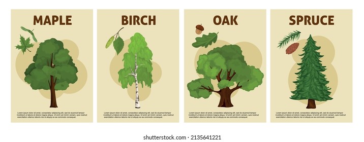 Tree poster set with four isolated vertical compositions of editable text and tree breeds with captions vector illustration