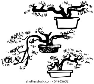 Tree in a pot