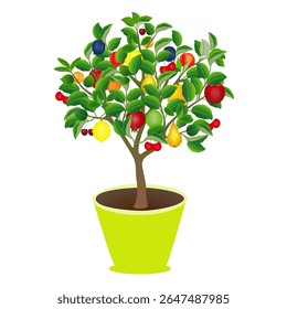 Tree in a pot with different fruits on a white background.
