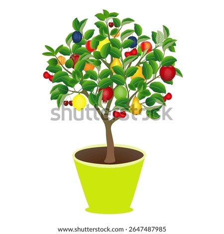 Tree in a pot with different fruits on a white background.