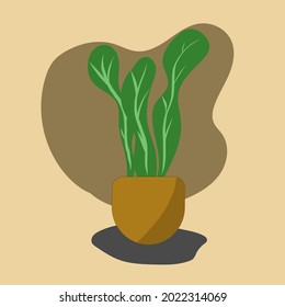 Tree in pot on brow vector background 