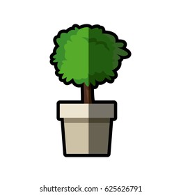 tree pot plant nature decoration shadow