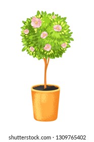 A tree in a pot, topiary with pink flowers. Home plant