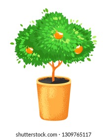 A tree in a pot, topiary with tangerines. Home plant
