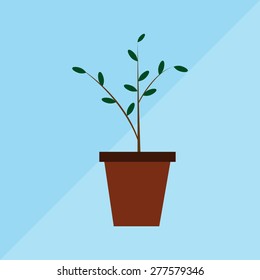 tree in a pot a vector flat design