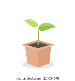 tree in pot. vector illustration
