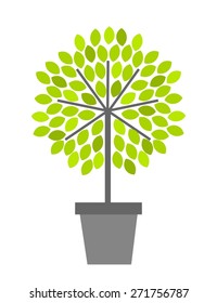 Tree in pot. Vector illustration
