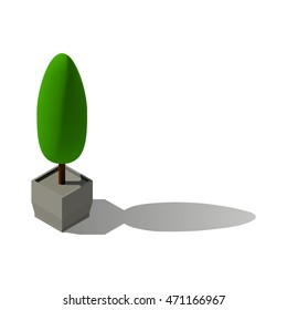  tree in a pot vector isometric