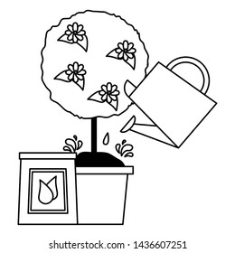 tree in pot watering can and soil tools decoration gardening flat design vector illustration