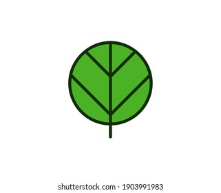 Tree premium line icon. Simple high quality pictogram. Modern outline style icons. Stroke vector illustration on a white background. 