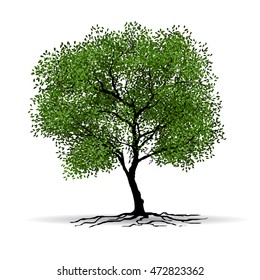 tree with a realistic