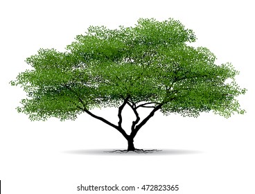 tree with a realistic