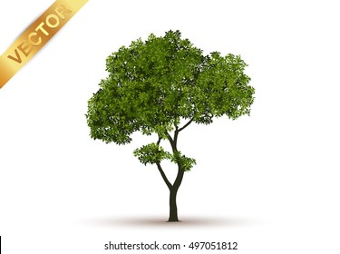 Tree With A Realistic