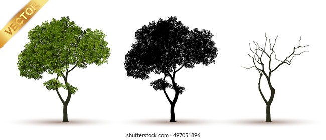 Tree With A Realistic