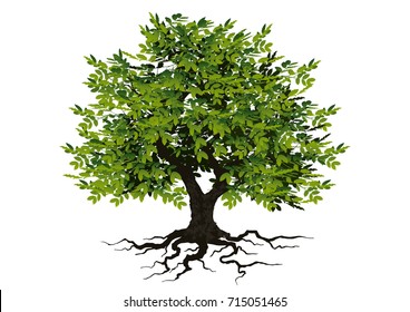 tree with a realistic