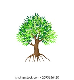 TREE REALISTIC ON WHITE BACKGROUND