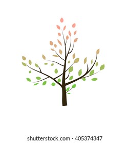 tree with red foliage leaves. Fall time of the year, spring, summer. tree on a white background. Banner nature design element - Eco and bio icon . Vector illustration.
