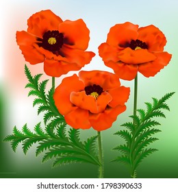 Tree red poppies and leaves.3D realistic vector.