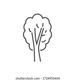 Tree related vector thin line icon. Isolated on white background. Editable stroke. Vector illustration.