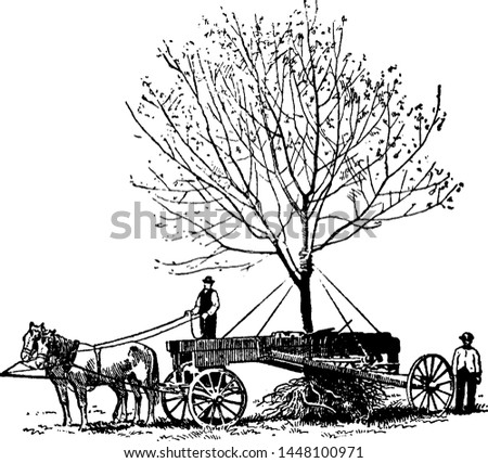 Tree relocation vintage engraved illustration. 