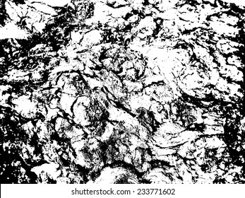 Tree Rinde Texture . Vector Illustration .