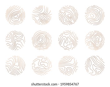 Tree ring clipart, vector logo wood ring. Circle topography map stock illustration