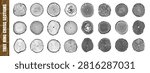 Tree ring cross section icon set on transparent background