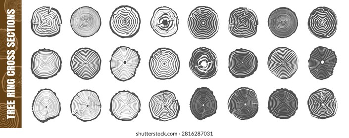 Tree ring cross section icon set on transparent background