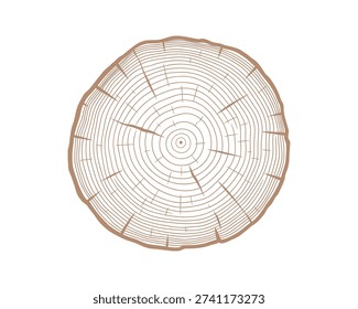 Tree Ring Cross Section Illustration Wood Texture Growth Rings Annual Rings Vector Illustration