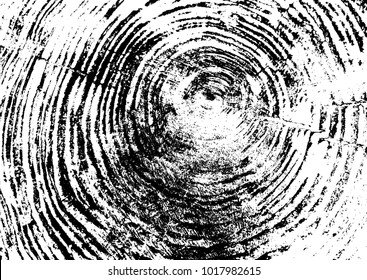 Tree Ring, Log, Wood Texture. Black And White. Silhouette. Vector Illustration EPS 10 Isolated On White Background