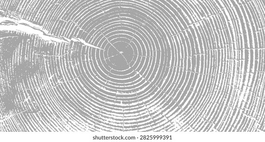 Tree ring pattern showcasing natural wooden texture vector illustration background. Annual growth circles create stunning organic backdrop with dark grain details for luxury poster and cover layouts.