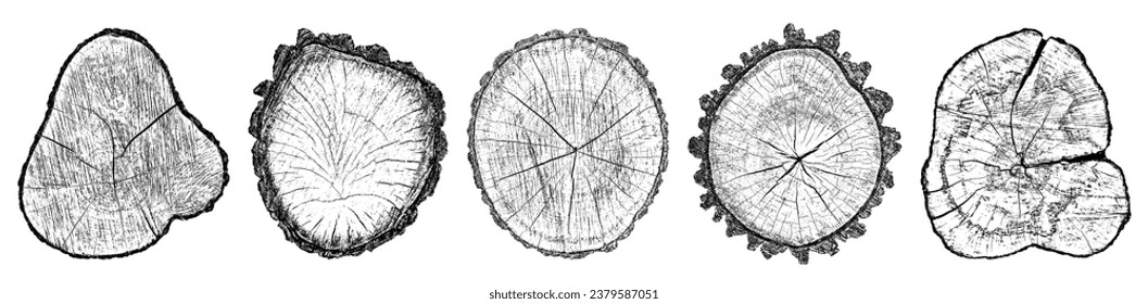 Conjunto de textura de madera en peligro sobre fondo blanco. Los anillos de los árboles de sección transversal cortan la rebanada. Elementos de diseño de madera redonda. Ilustración del vector, EPS 10.