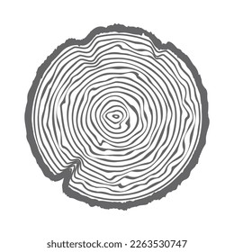 Tree ring wooden log. Circle annual stump texture and topography circle. Outline timber slice. Vector.