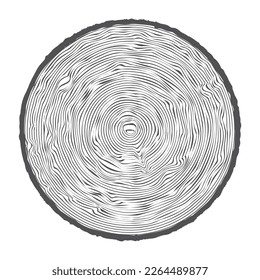 Tree ring wooden log. Circle annual stump texture and topography circle. Outline timber slice. Vector.