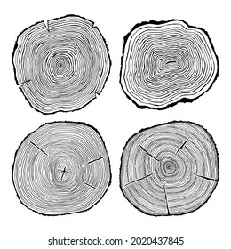 Tree Rings. Black And White Illustrations Isolated