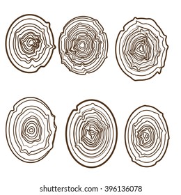 Tree rings engraved background. Annual tree, cut tree trunk. Wood sign icon. Tree growth rings. Trunk cross-section. Growth sign vector illustration Collection set of 6 tree rings on white background