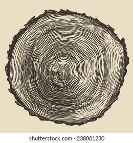 Tree rings engraved background, vector illustration, hand drawn
