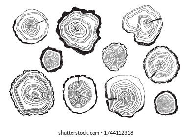 Tree rings forest vector hand drawn doodle line illustrations set