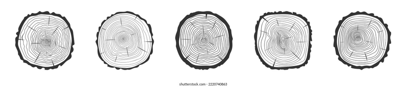 Tree rings icons set. Trunk cross section surface. Dendrochronology method to determine tree age. Wooden texture doodle stamps collection isolated on white background. Vector hand drawn illustration