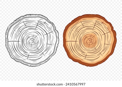 Tree Rings, Oak and Pine Slices, Lumber, and Timber Cross Section with Saw Cut Detail. Tree Trunk, Wood Log, Pine, Oak Slices, Lumber, Cut Timber. Hand Drawn, Design Element