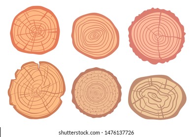 Tree rings on isolated white. Set of objects on isolation background. Colorful illustration for your design